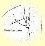 Kepala Takuk Zakar